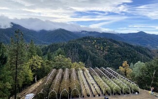 Hayfork, CA Commercial - 1900 Devils Gulch Rd