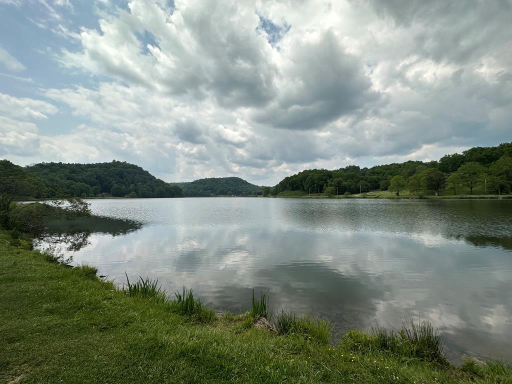 14224 Mud Fork, Falls Mills, VA for Sale