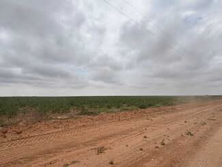 Tahoka, TX Commercial - CR 8 and CR 11