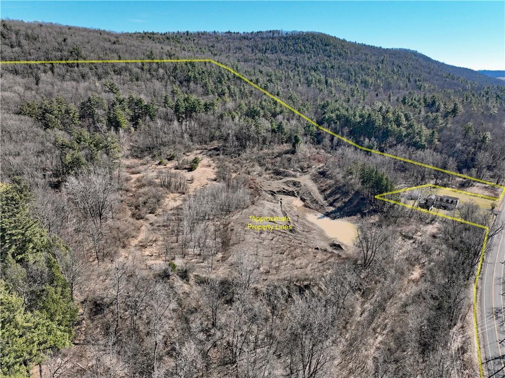 00 Pennsylvania Avenue Ave, Pine City, NY for Sale