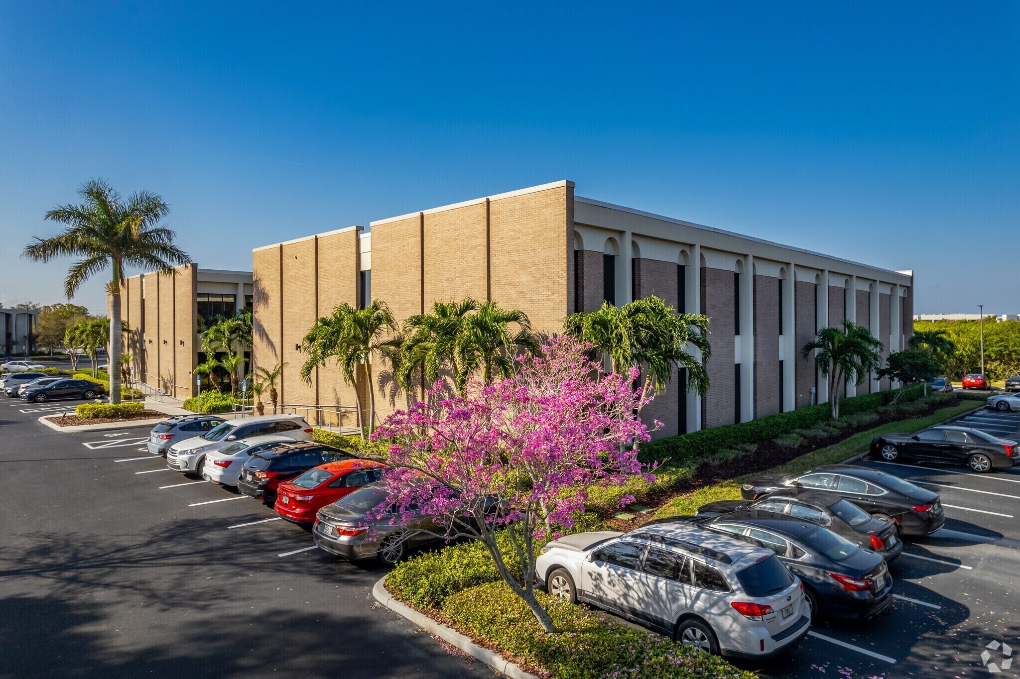 9620 Executive Center Dr N, Saint Petersburg, FL for Rent