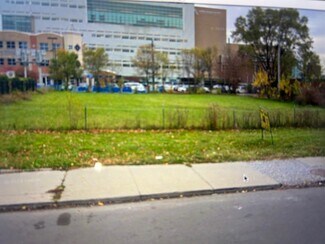 Detroit, MI Commercial Land - 109-111 W Alexandrine St