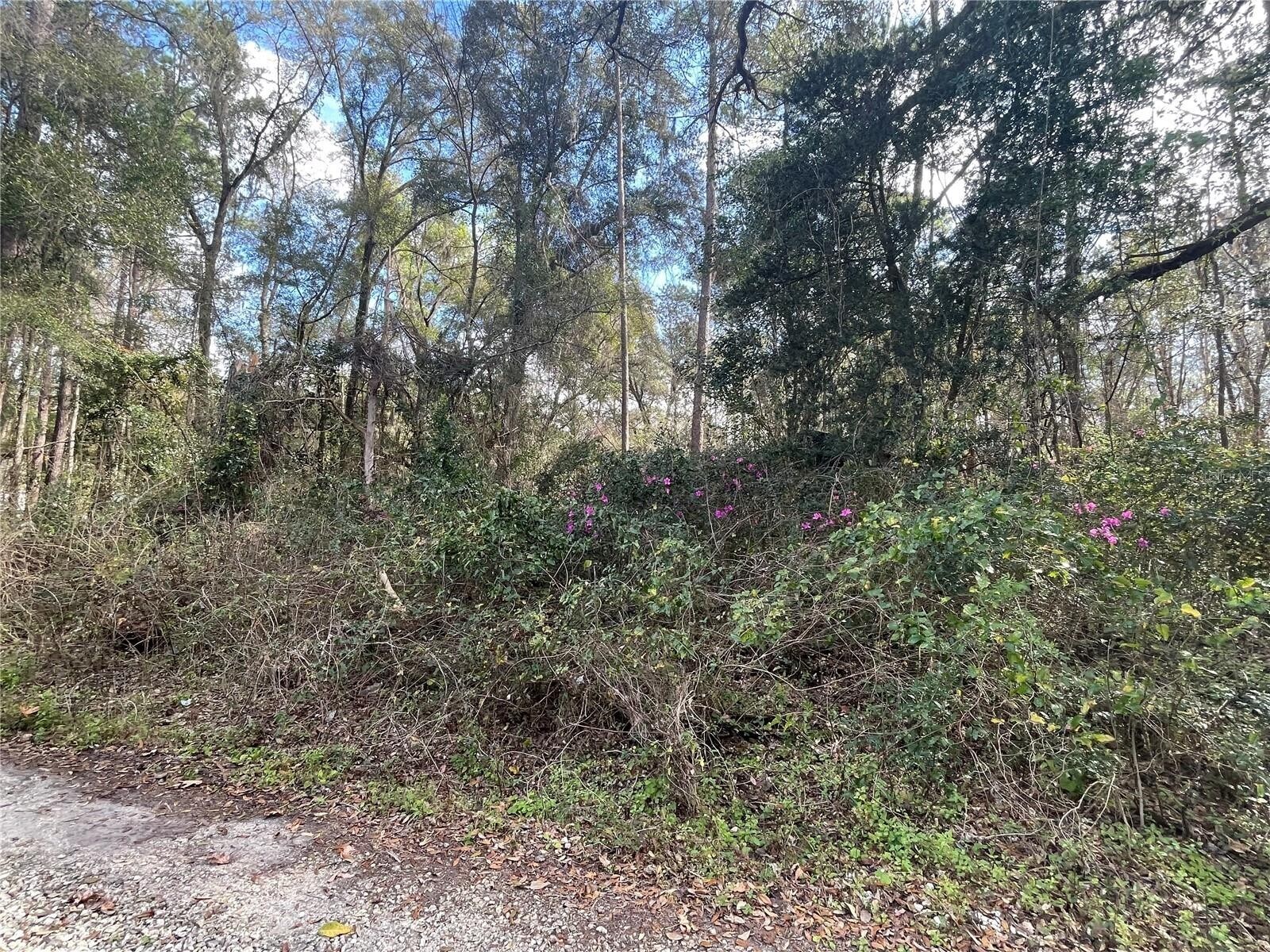3726 67th, Gainesville, FL for Sale