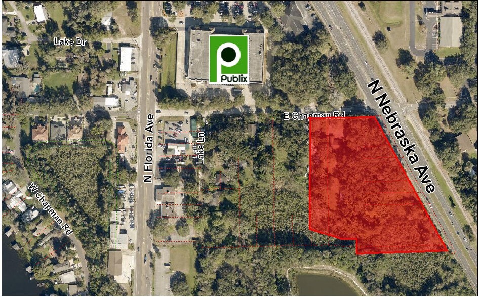 16370 N Nebraska Ave, Lutz, FL for Sale