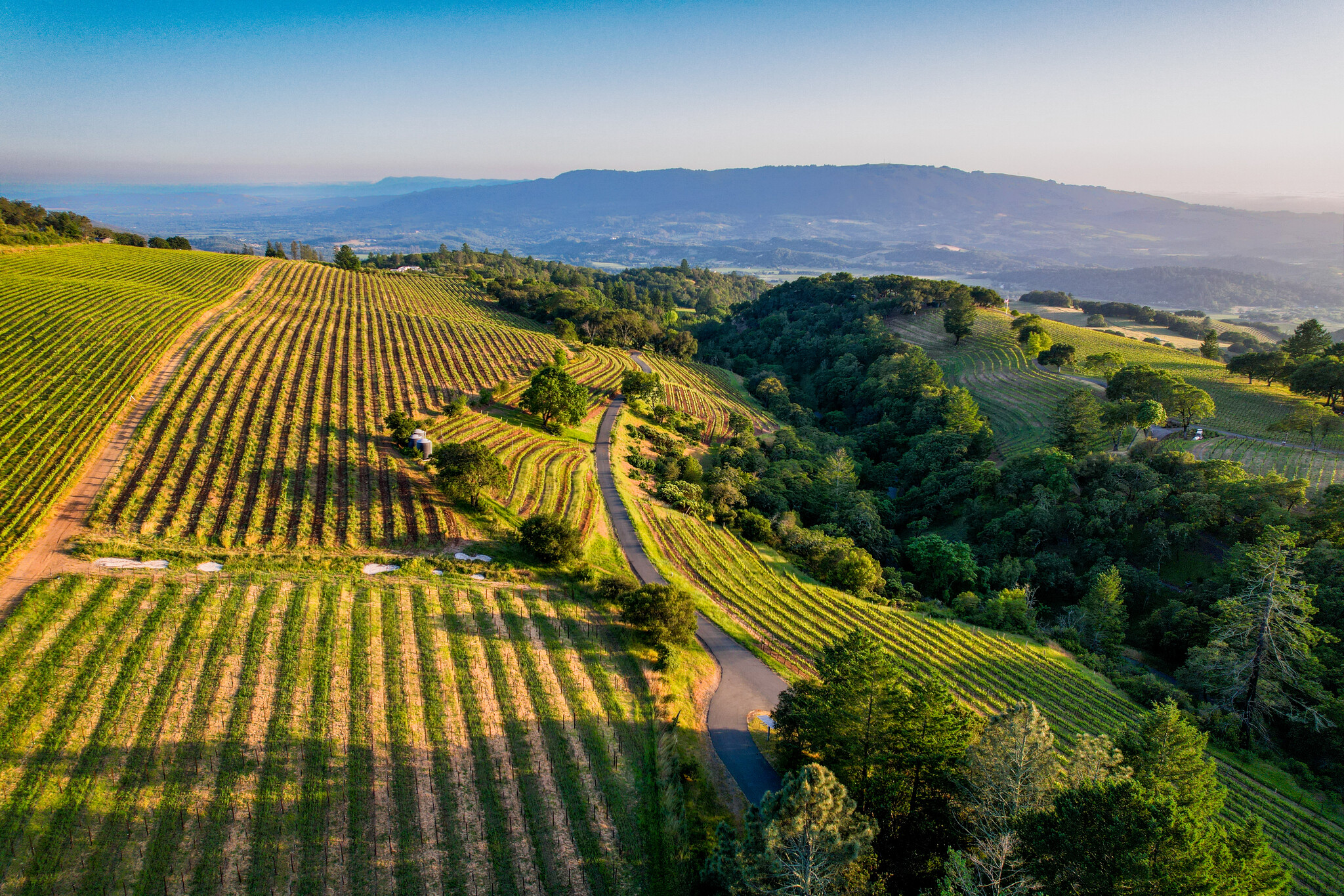 O Howell Mountain, Angwin, CA for Sale