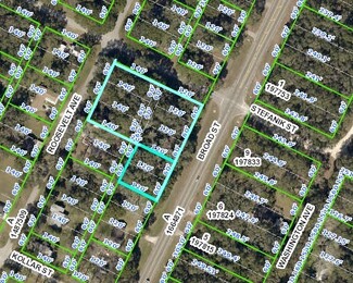 Brooksville, FL Commercial - 0 Broad St