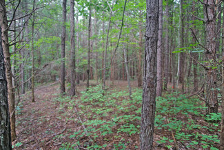 Hurdle Mills, NC Residential - 4 Mudlee dr