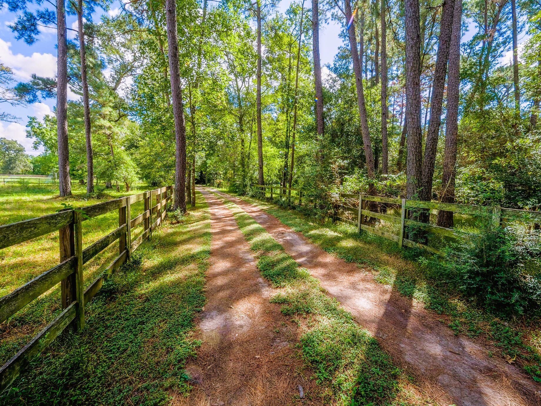 39526 Cimarron Way, Magnolia, TX for Sale