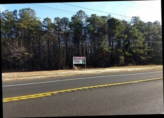 Waretown, NJ Commercial Land - 317 Route 9 N Waretown, NJ Commercial Land - 317 Route 9 N