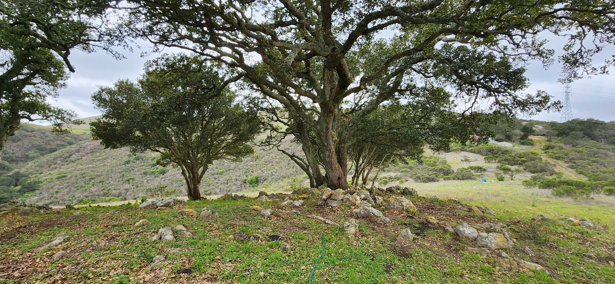 Salinas Road Hwy, San Juan Bautista, CA for Sale