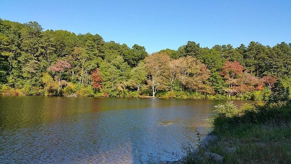 34 Thelma Dr Hope Valley, RI 02832 Specialty Property for Sale on