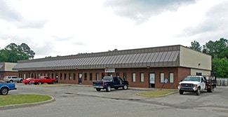Chesapeake, VA Flex - 3905 Holland Blvd