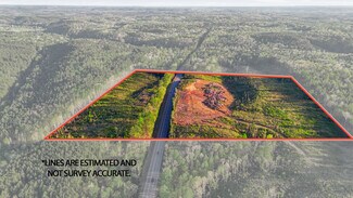 Parrish, AL Commercial Land - 0 Highway 269
