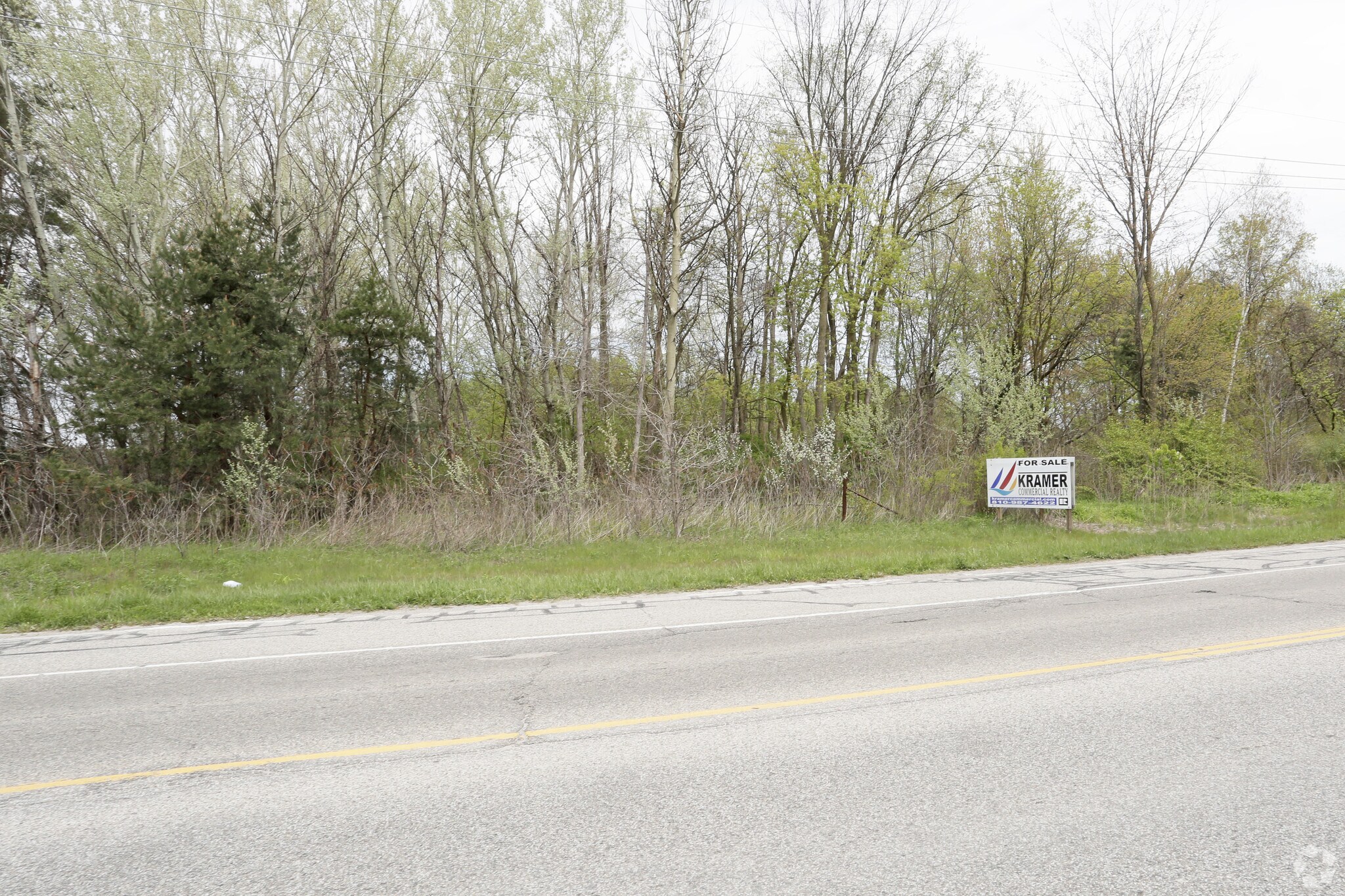 NEC Allen & Lapeer Rd, Smiths Creek, MI for Sale