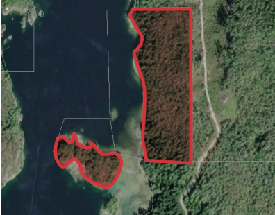 Vancouver Island Sites - Queens Cove, Zeballos, BC for Sale