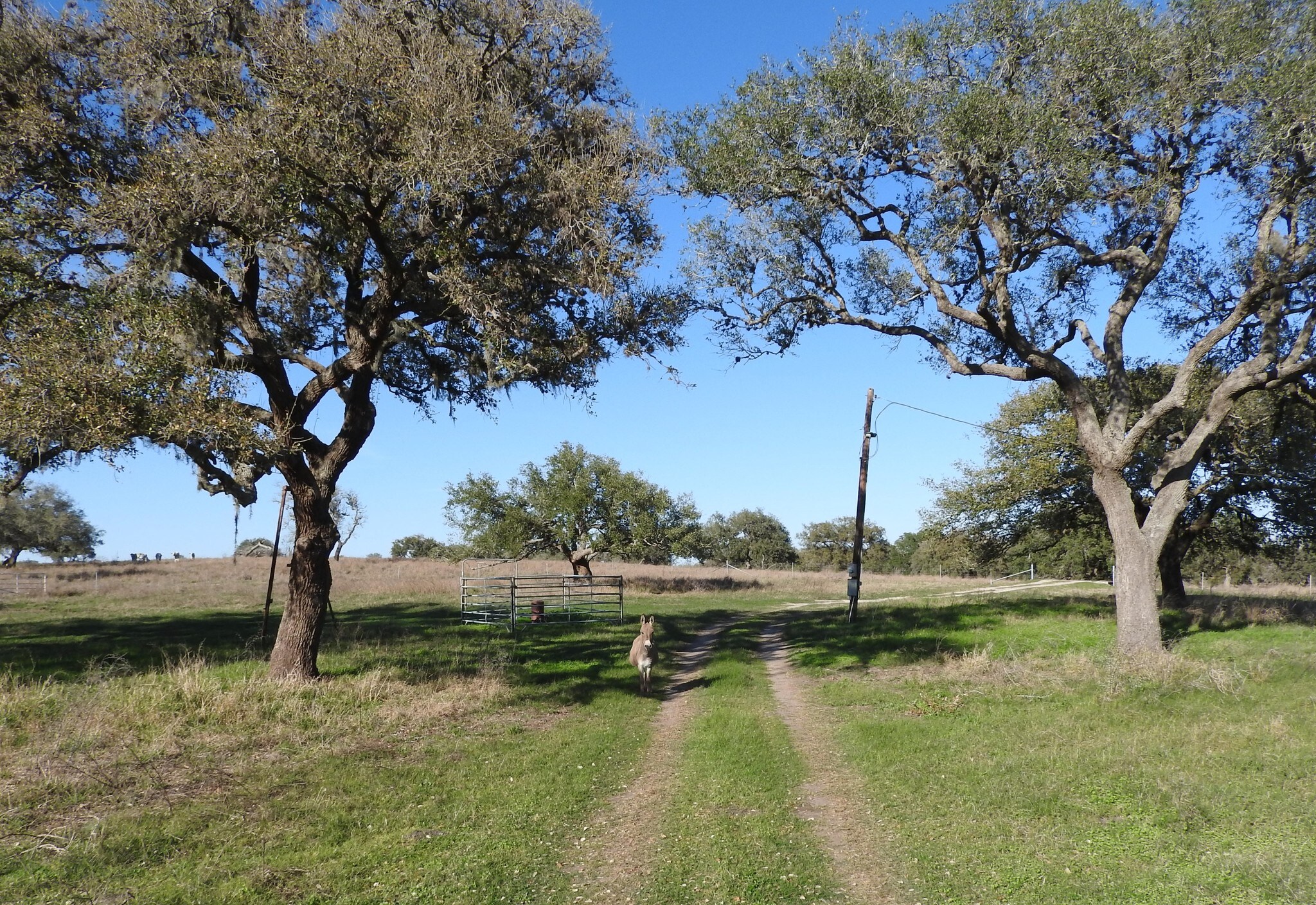 Orange Ln, Beeville, TX for Sale
