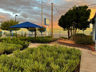 El Paso, TX Garden Center - 11320 Montana Ave