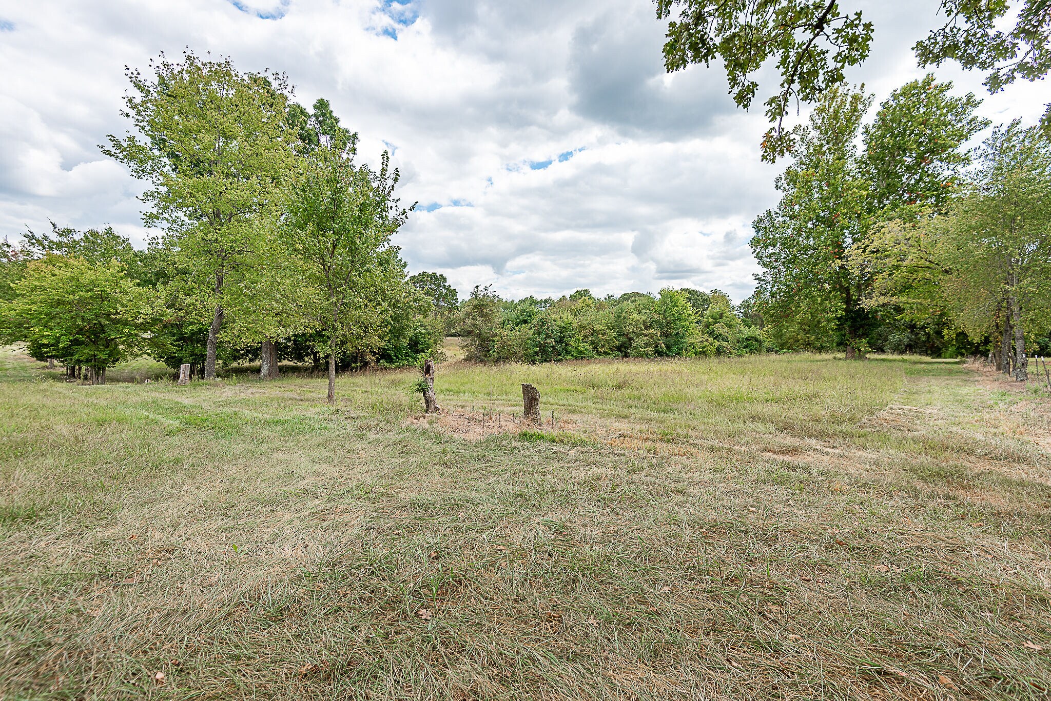 1297 N State Highway 125, Springfield, MO for Sale