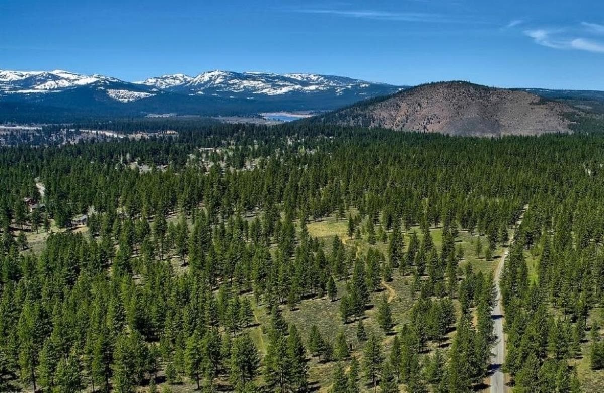 11221 Martis Peak rd, Truckee, CA for Sale