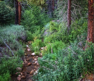 Running Springs, CA Commercial - Highway 330 Running Springs, CA Commercial - Highway 330