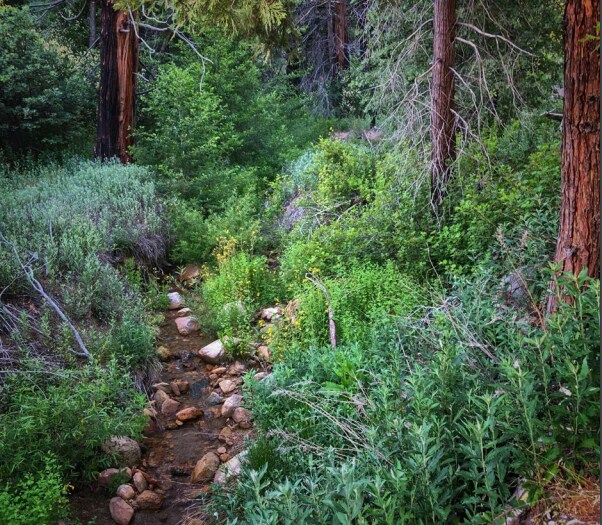 Highway 330, Running Springs, CA for Sale