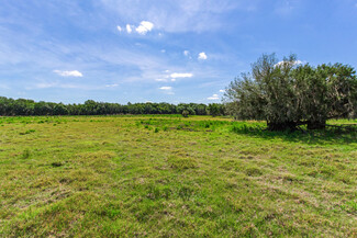 Lithia, FL Agricultural - 419 Jameson Rd