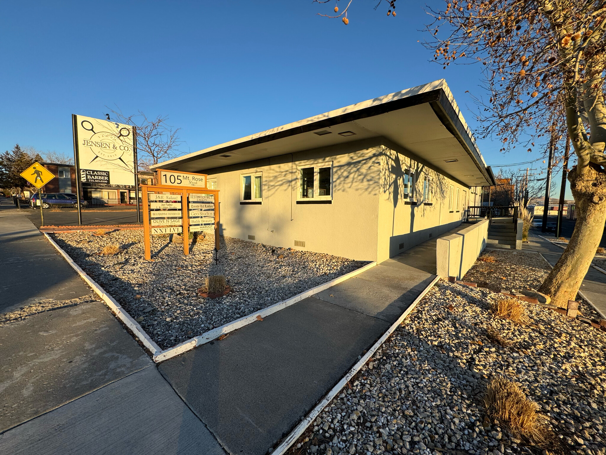 105 Mount Rose St, Reno, NV for Sale