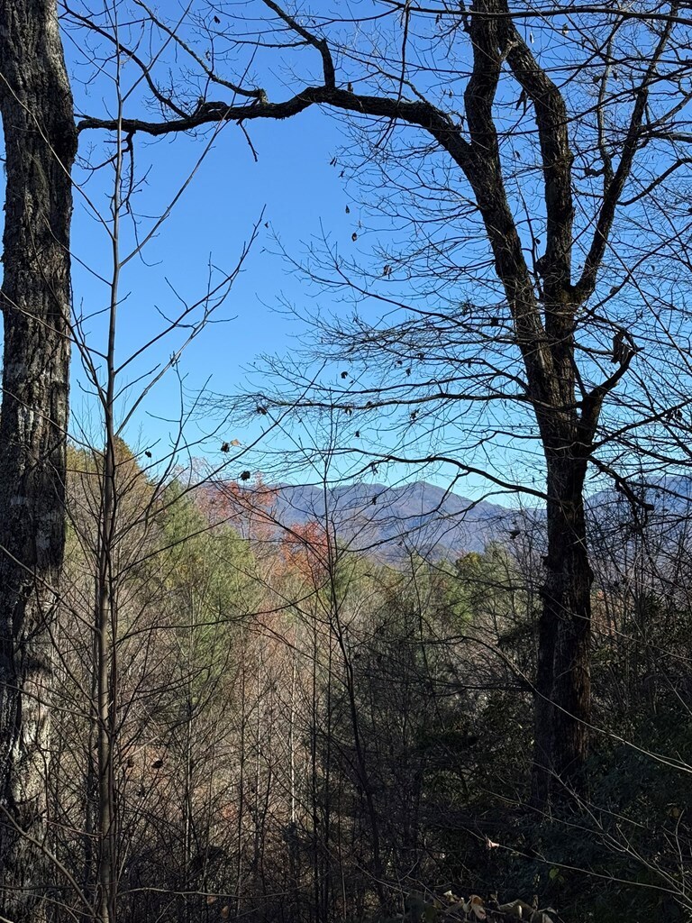 00 Airport Rd, Andrews, NC for Sale