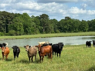 Laurel Hill, FL Agricultural - Millside Road