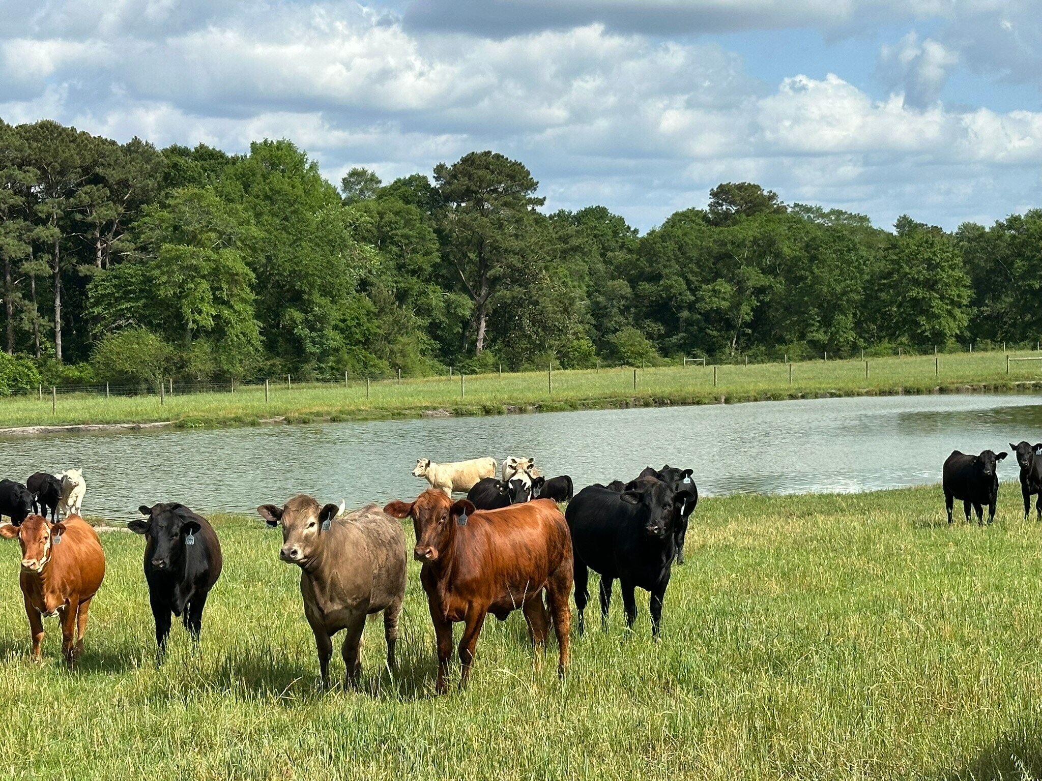 Millside Road, Laurel Hill, FL for Sale