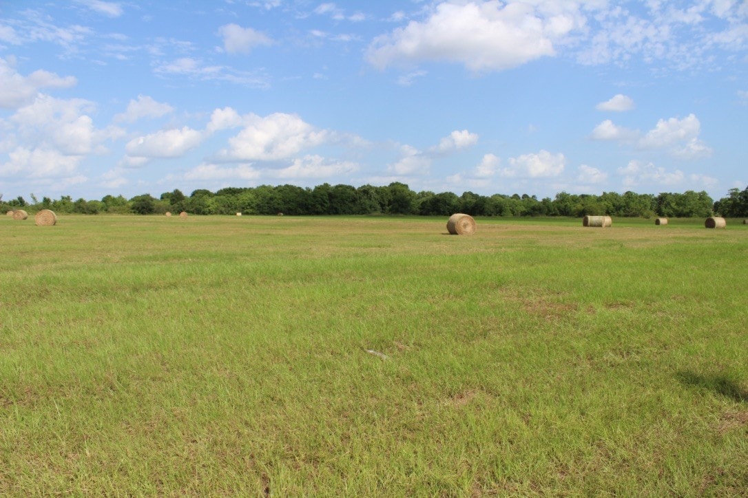 20720 Cochran Rd, Prairie View, TX for Sale