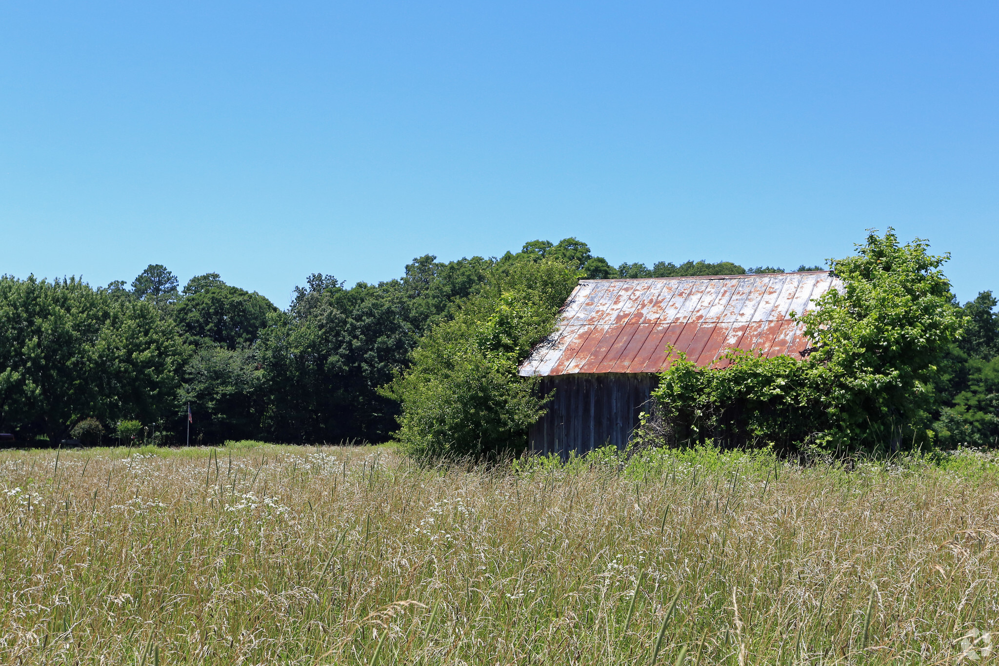 24175 Point Lookout Rd, Leonardtown, MD for Sale