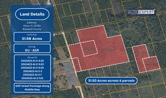 Mims, FL Agricultural - D Johnson Ave Mims, FL Agricultural - D Johnson Ave