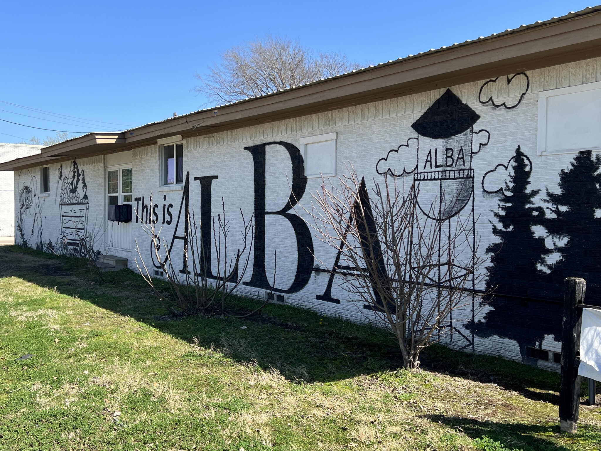 189 E Greenville St, Alba, TX for Sale