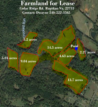 Rapidan, VA Agricultural Land - 24134 Cedar Ridge Rd