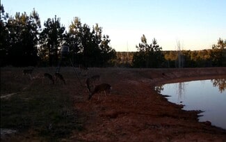 Grapeland, TX Residential - 4635 Co 1685 rd