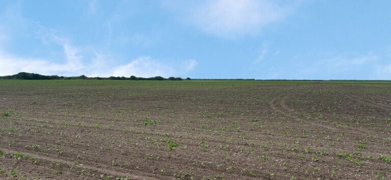 CR 48 40.81 AC, Robstown, TX for Sale