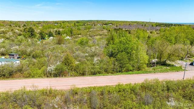 TBD 1a Franklin Tram Rd, Hancock, MI for Sale