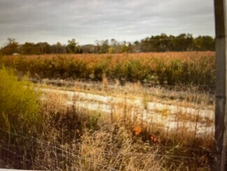 Pemberton, NJ Agricultural Land - 98 Sheep Pen Hill Rd