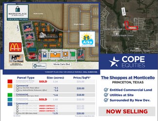 Princeton, TX Commercial Land - E.Monte Carlo & Longneck Rd