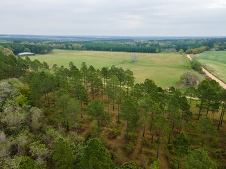 Dixie, GA Agricultural - 649 Okapilco Church Rd