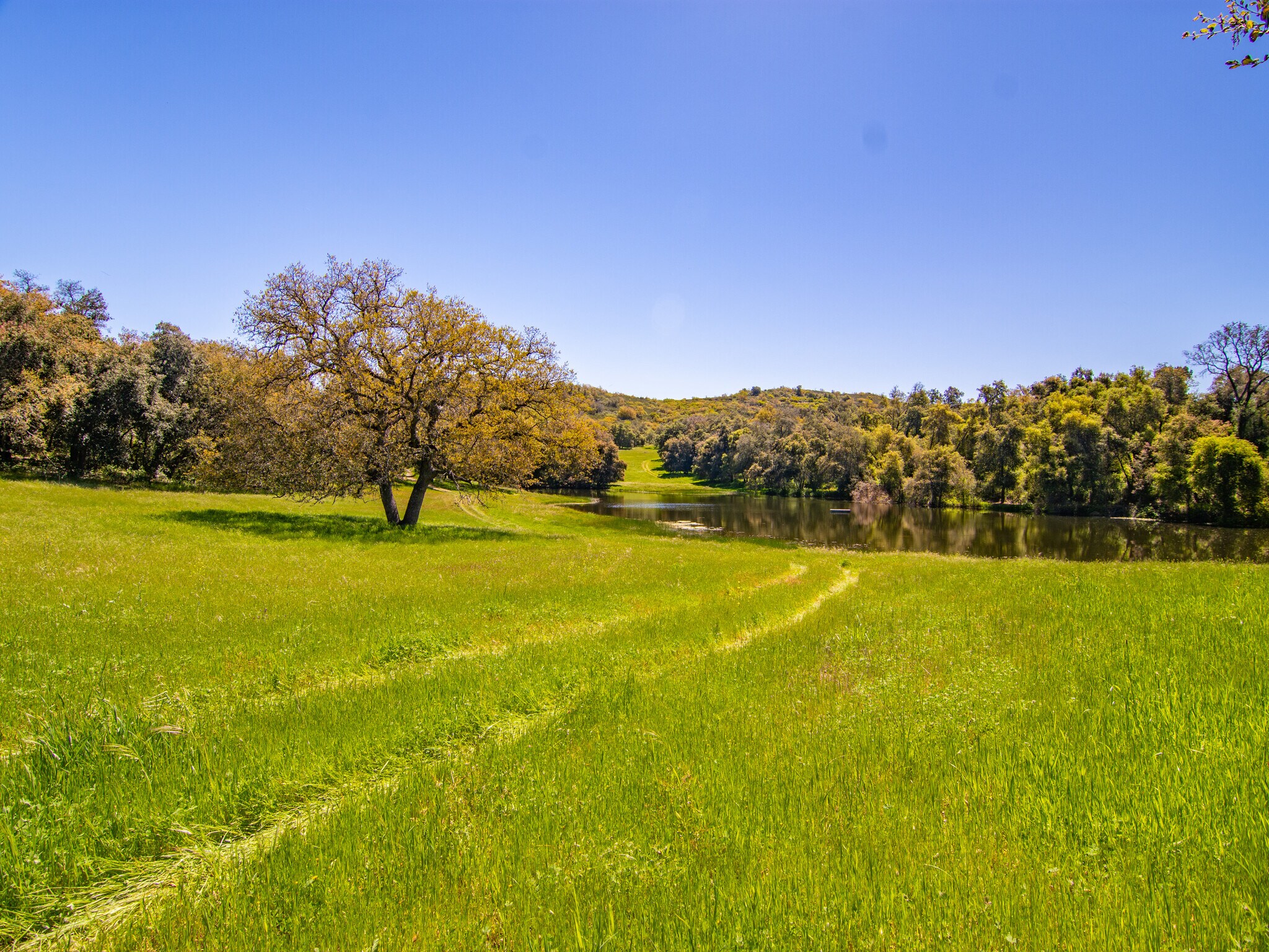 00000 Mesa Grande Road, Santa Ysabel, CA for Sale