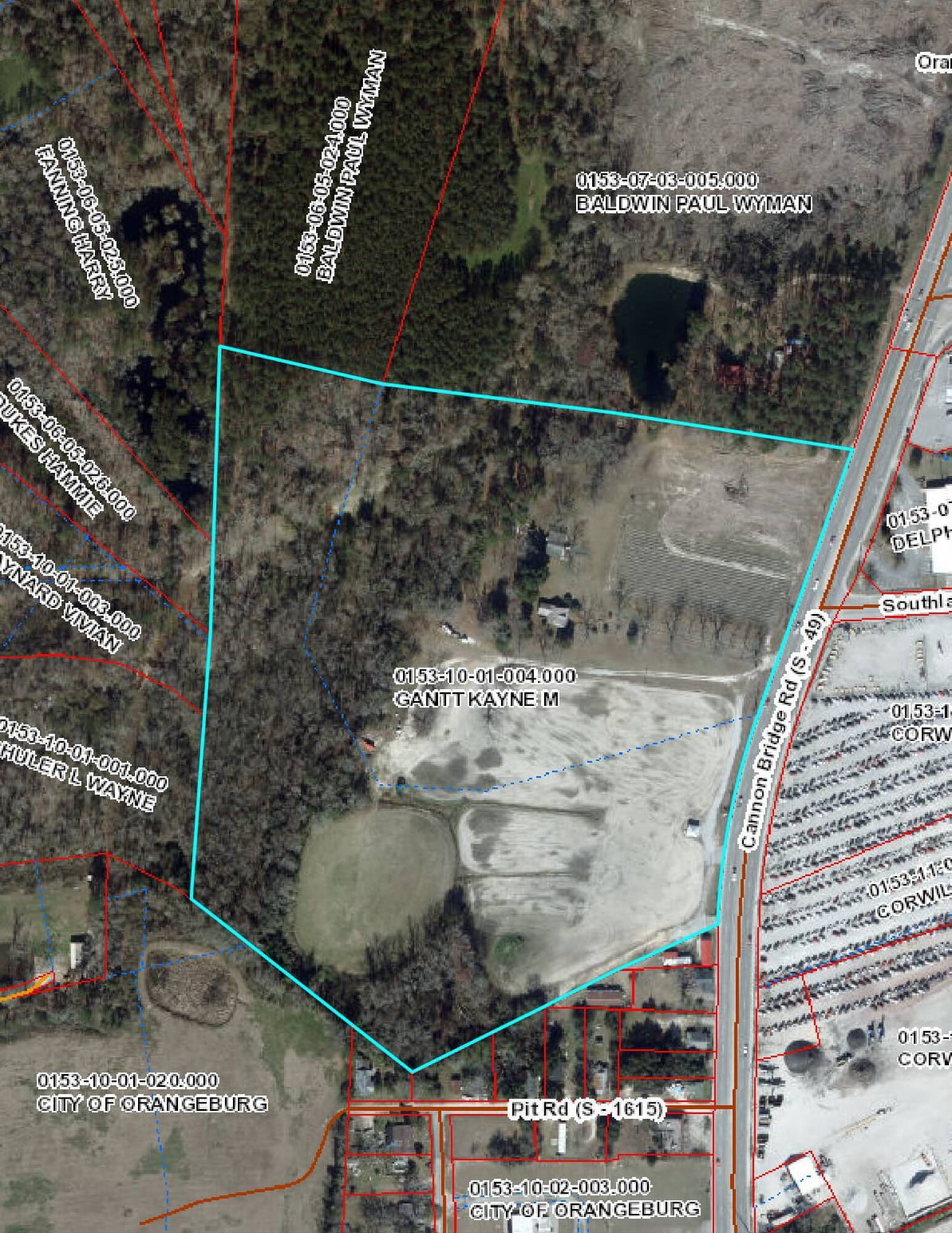 410 Cannon Bridge Rd, Orangeburg, SC for Sale