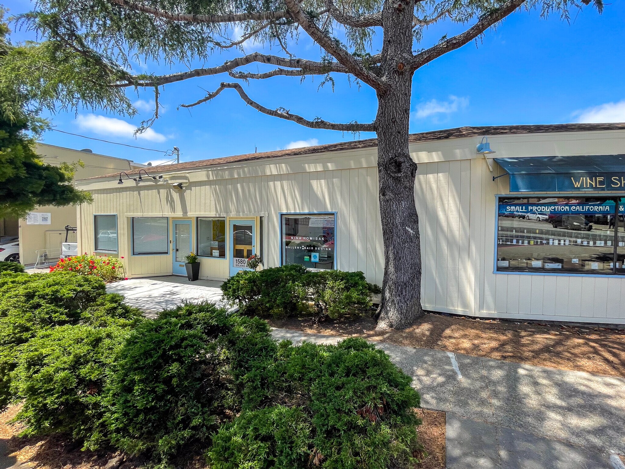 1580 Solano Ave, Albany, CA for Rent