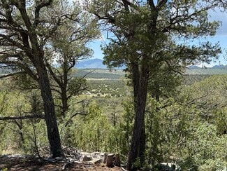 Estancia, NM Residential - 44 Forest 321 Rd
