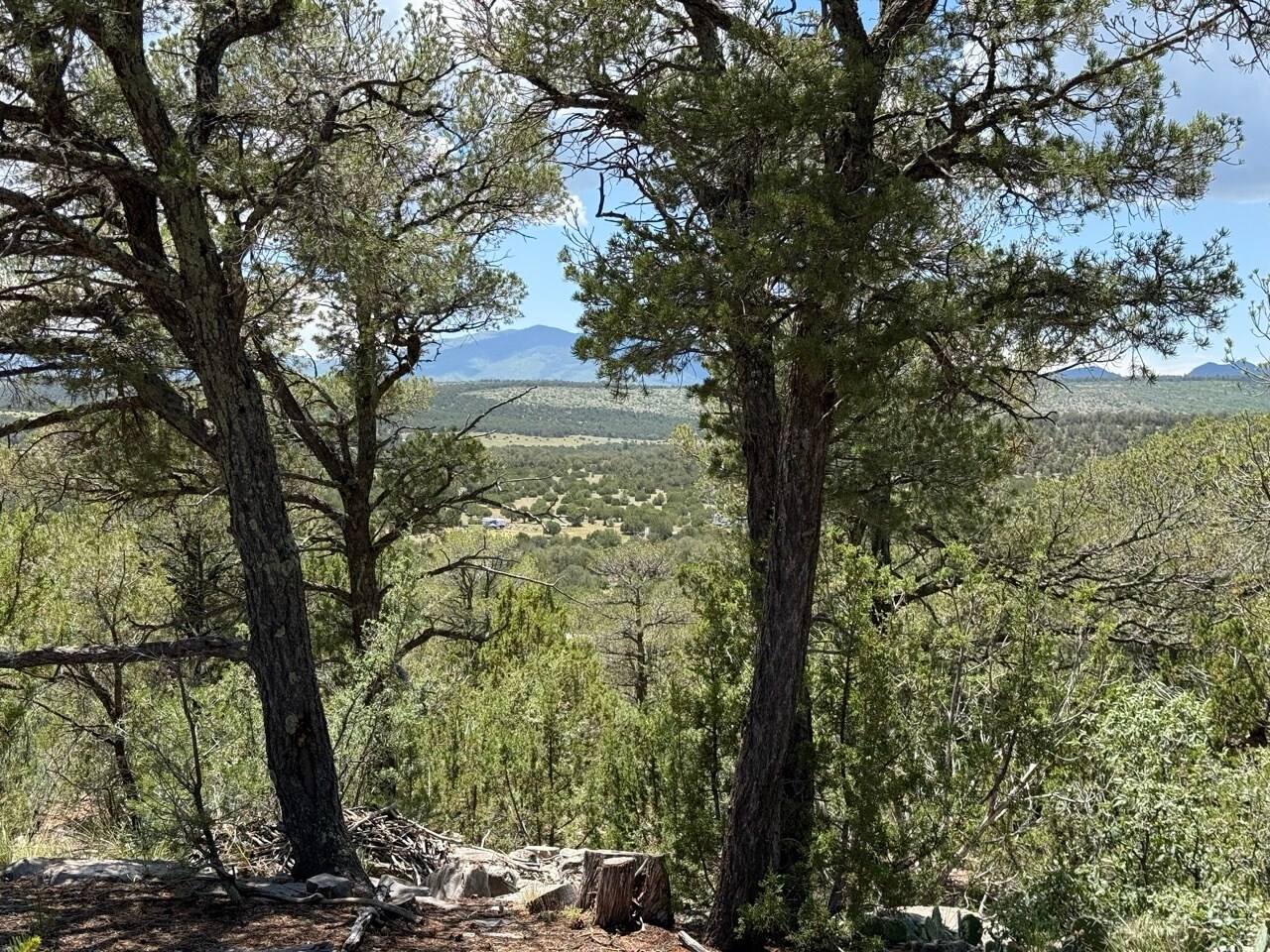 44 Forest 321 Rd, Estancia, NM for Sale