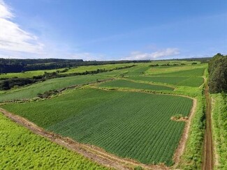 Papaikou, HI Agricultural Land - 27-5159 Puia Rd