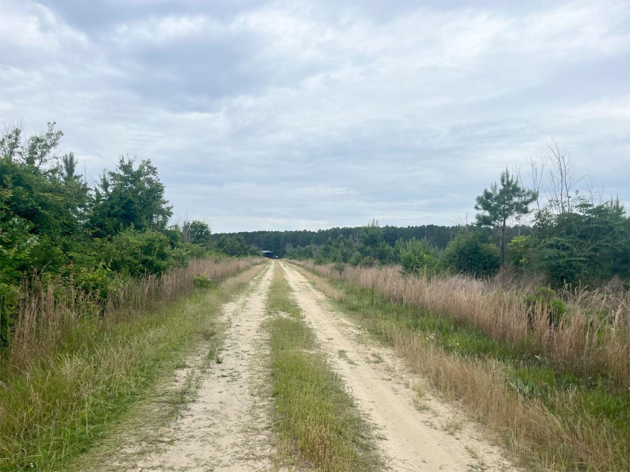 Pinopolis Road, Boykins, VA for Sale