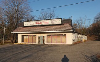 Potterville, MI Freestanding - 5507 Lansing Rd