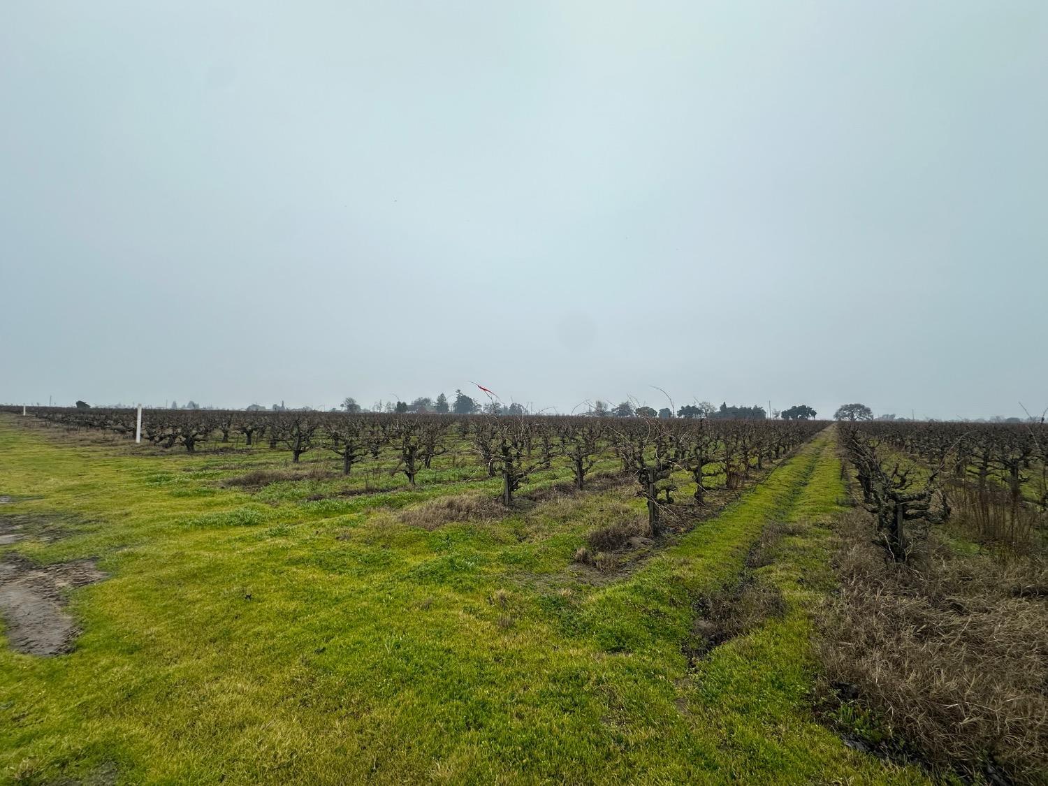 17600 Devries rd, Lodi, CA for Sale